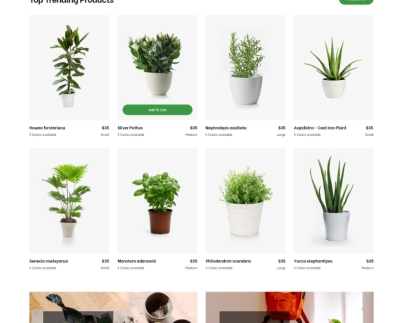 Custom Plant Shop Website Development Service